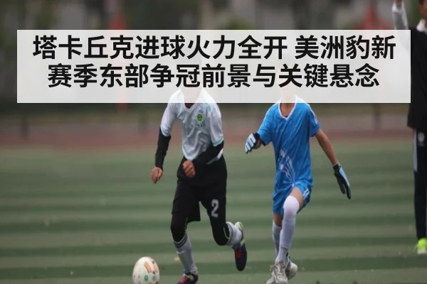 塔卡丘克进球火力全开 美洲豹新赛季东部争冠前景与关键悬念 - kaiyun