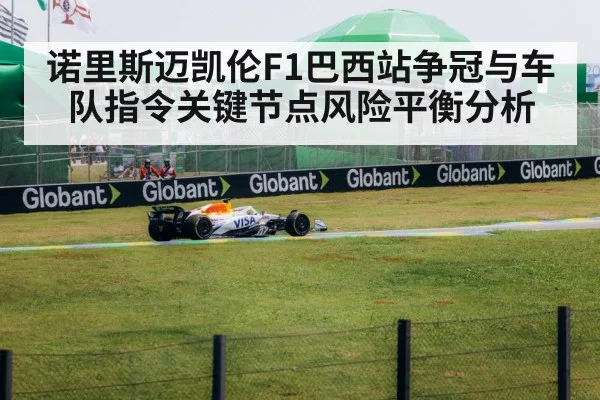 Formula 1 race car Brazil Grand Prix
